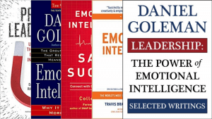 Daniel Goleman book on Emotional Intelligence