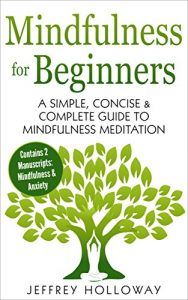 Mindfulness for beginners book