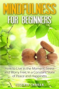 Yesenia Mindfulness Book