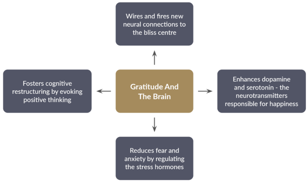Gratitude And The Brain