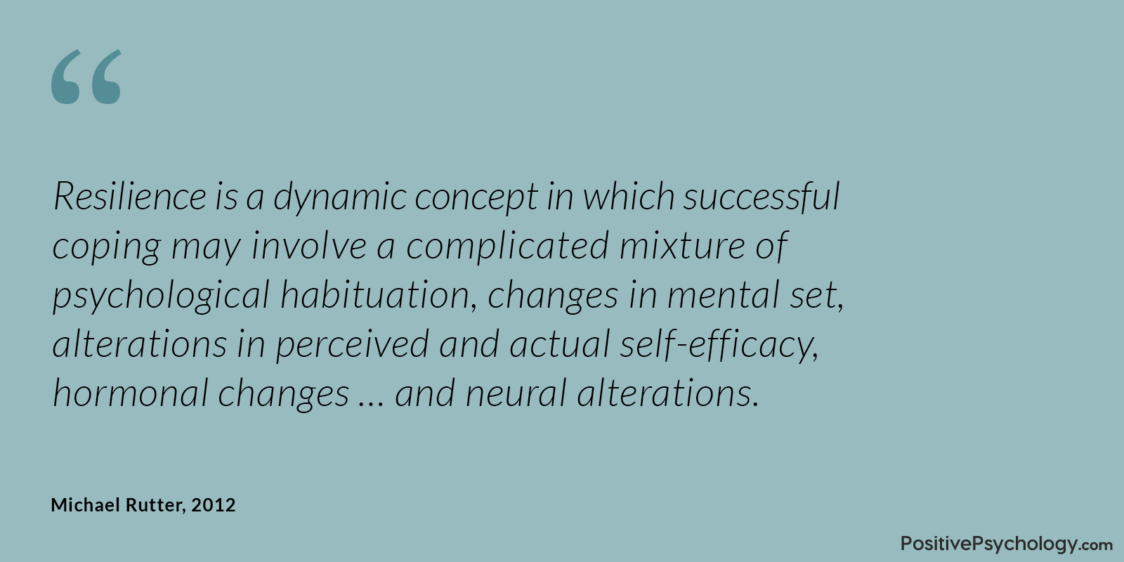 Rutter Resilience Dynamic Concept Quote