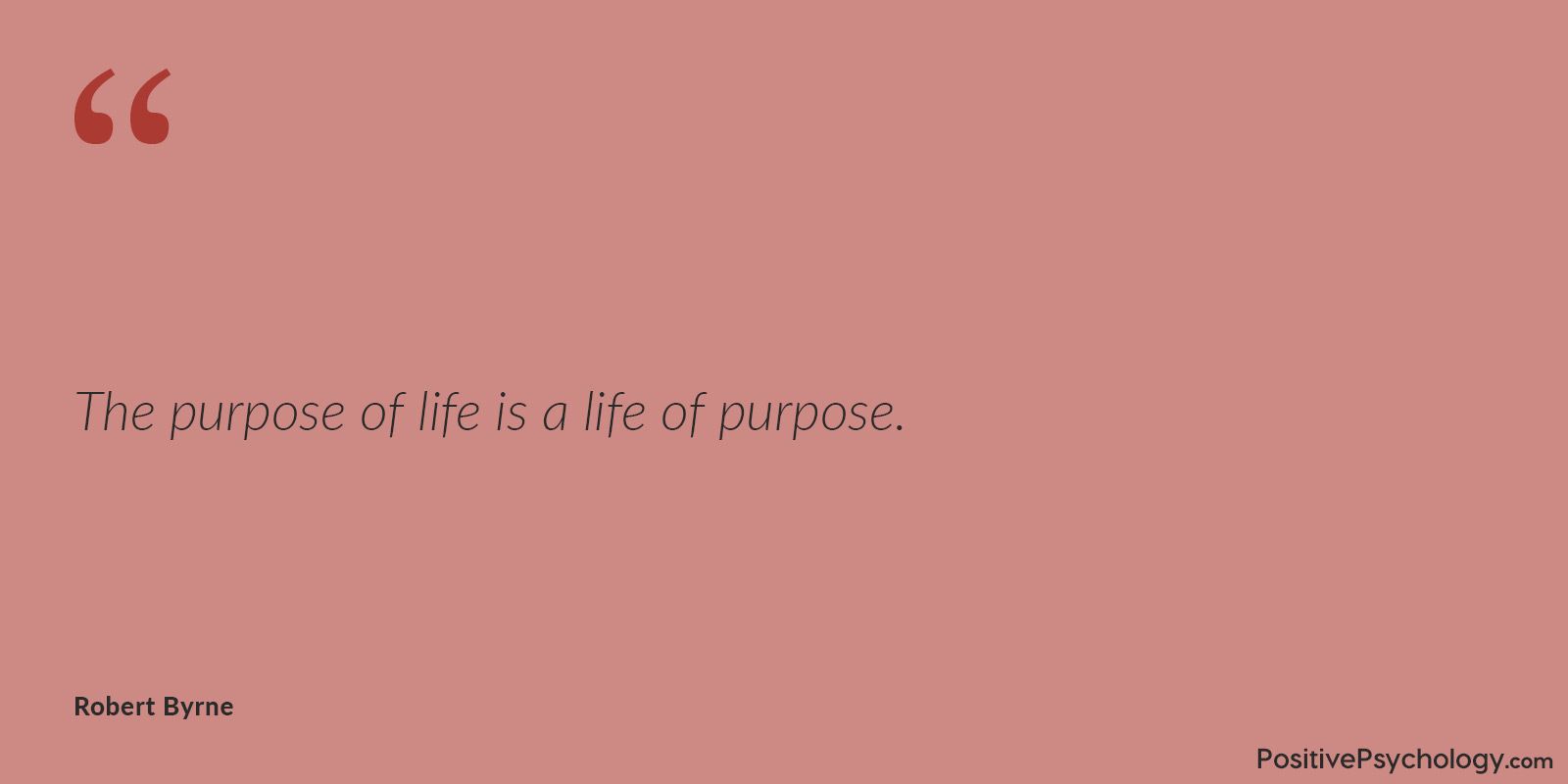The purpose of life