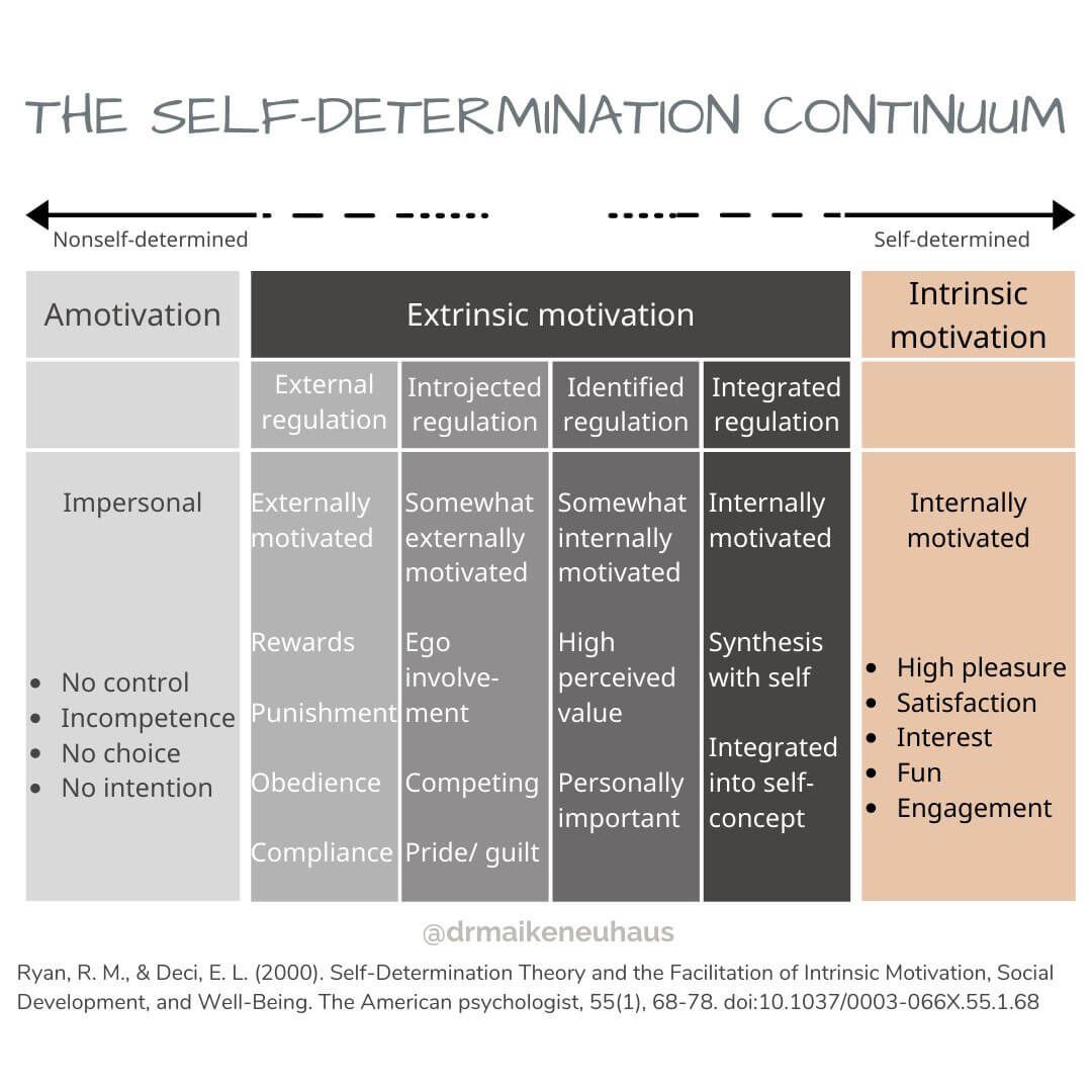 Self-determination Continuum