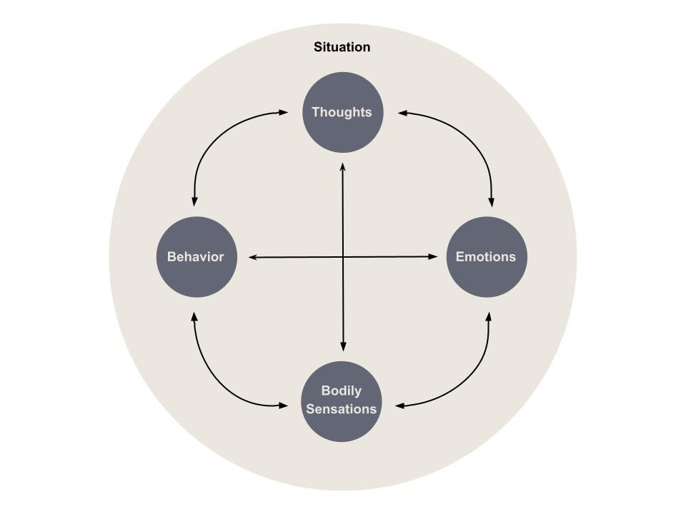 Situational Formulation Cycle