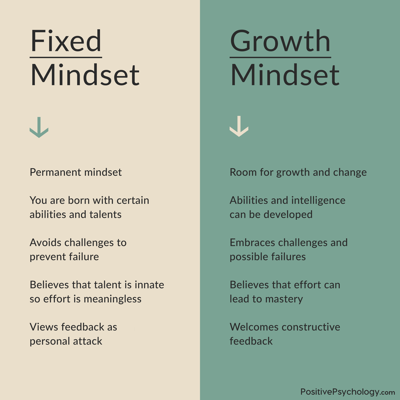 essay about growth and fixed mindset