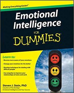 The Dummies Guide to Emotional Intelligence