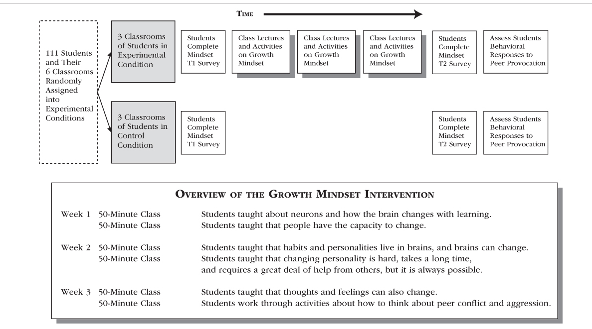 Overview of the Growth Mindset Intervention