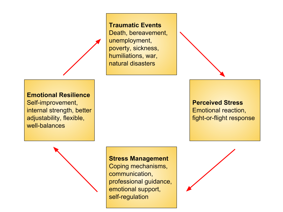 Cycle of Stress and Emotional Resilience