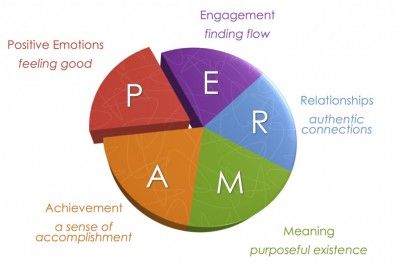 A scientific theory to happiness - perma model