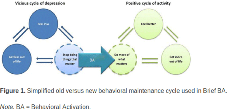 The Use Of A Behavioural Model For Behavioural Activation