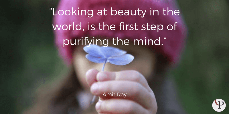 mindfulness quote amit ray