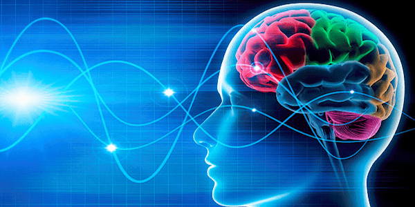 The Theory and Principles of Neuroplasticity