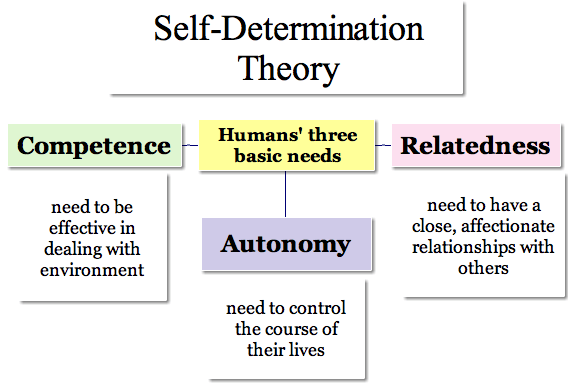 self-determination theory three needs