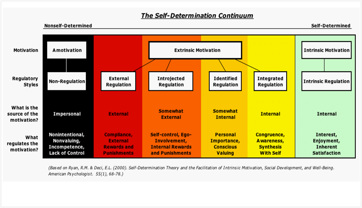 Self Determination Theory Diagram