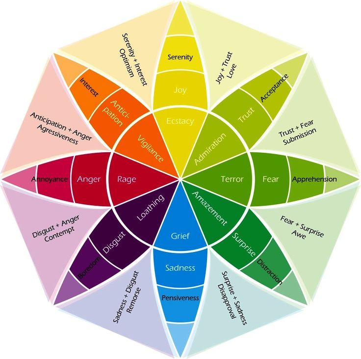 Dr. Robert Plutchik's Wheel of Emotions